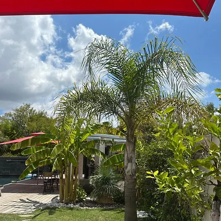 Le Sud Bed and breakfast