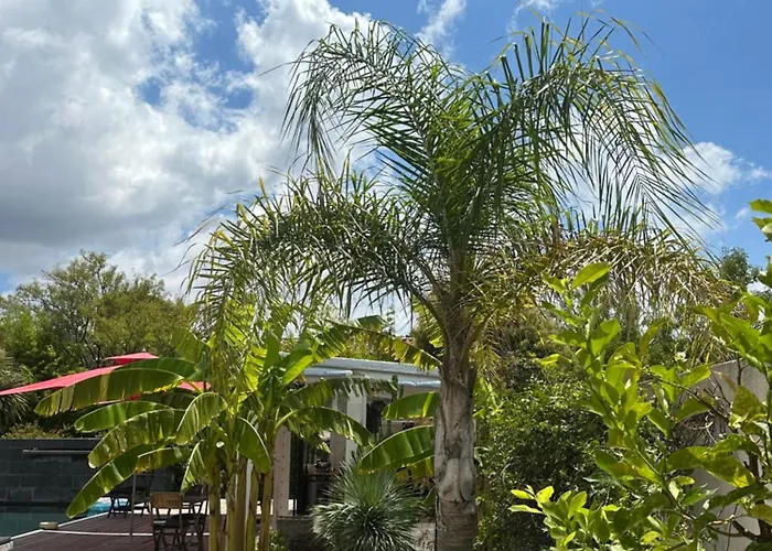 Le Sud Bed & Breakfast