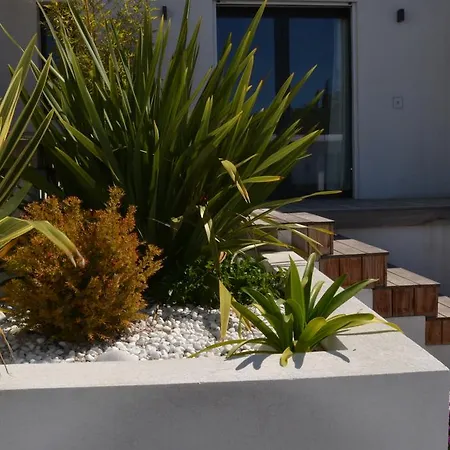 Le Sud Bed & Breakfast Cassis
