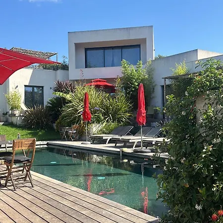 Le Sud לינה וארוחת בוקר