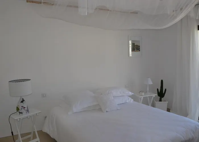 Le Sud Bed & Breakfast Cassis