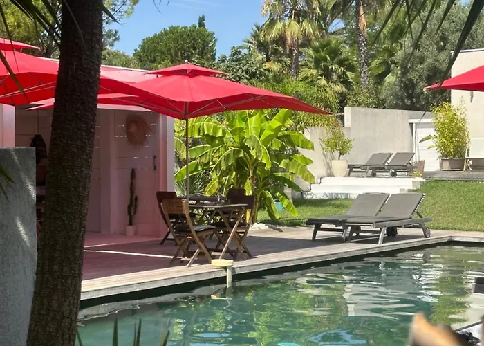 Le Sud Bed & Breakfast Cassis